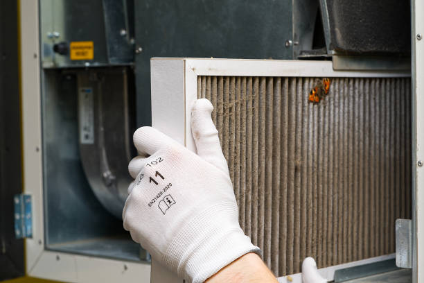 Best Best Air Duct Cleaning Company  in Land O Lakes, FL