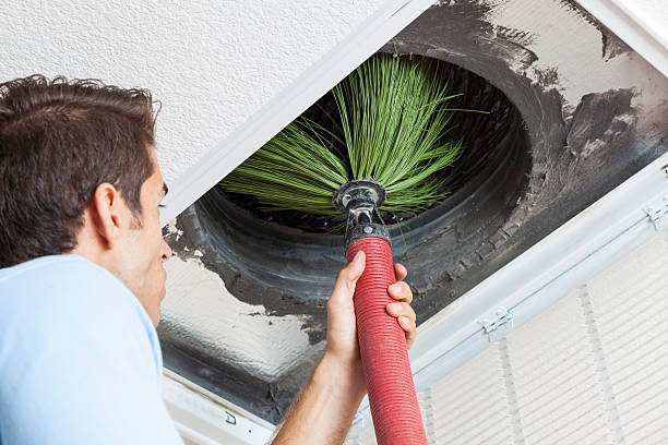 Air Duct Mold Removal in Land O Lakes, FL